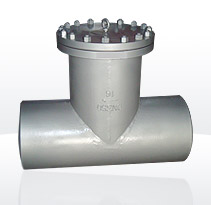 Tee Strainer